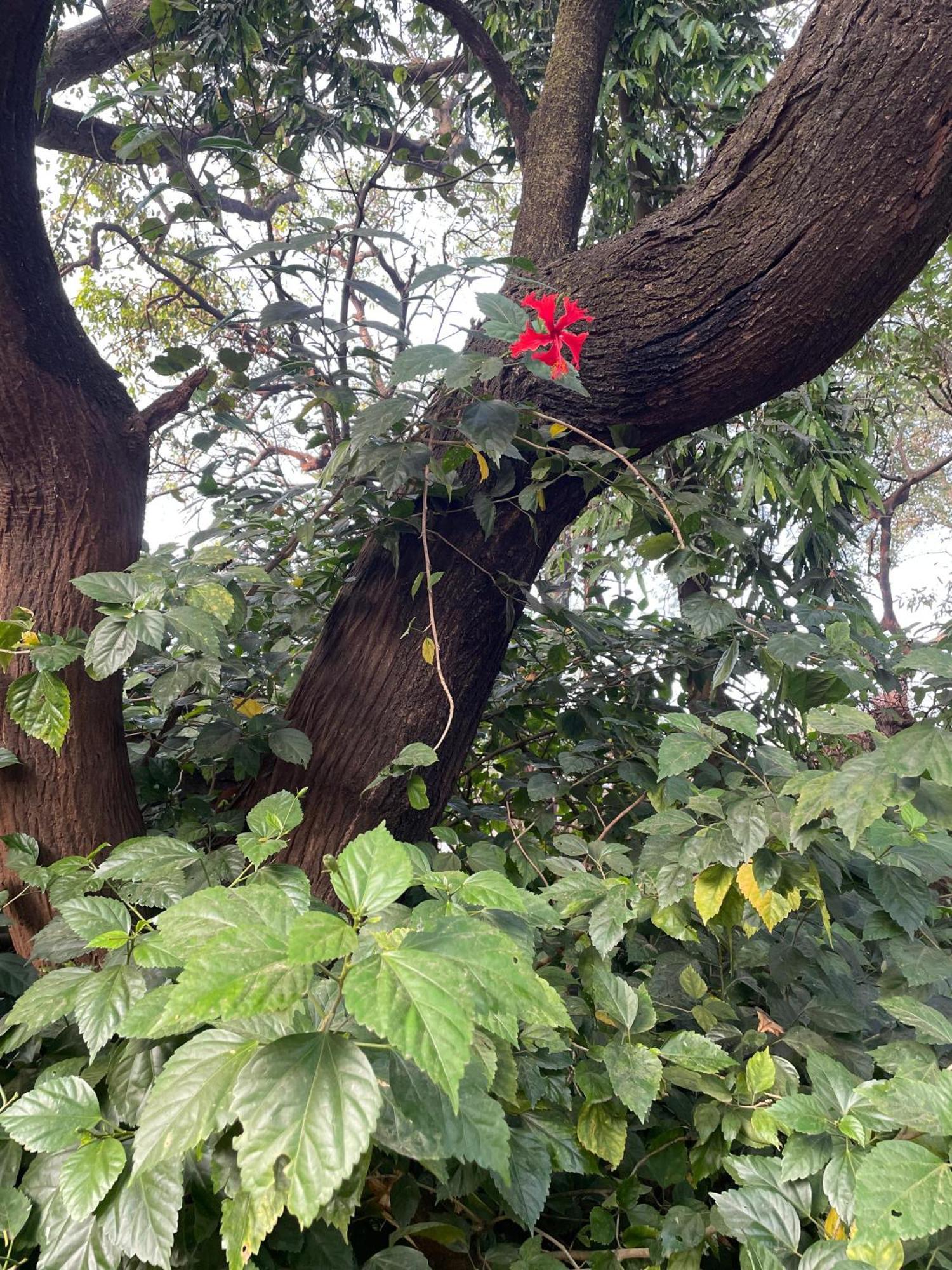 The Imperial Heritage II 2 Minutes From Station And Market II Deluxe Ac Rooms II Lonavala Bagian luar foto